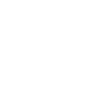 Avarda Logo White
